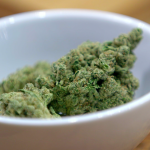 Cannabis buds in a white bowl