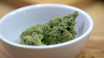 Cannabis buds in a white bowl