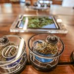 Cannabis samples displayed with magnifying lenses.