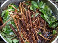 Brew of plants in metal pot