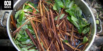 Brew of plants in metal pot