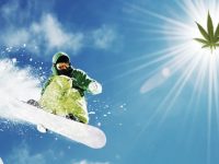 Snowboarder jumps under bright sun with leaf symbol.